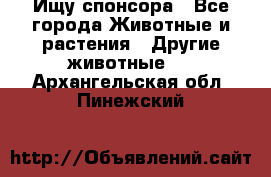 Ищу спонсора - Все города Животные и растения » Другие животные   . Архангельская обл.,Пинежский 
